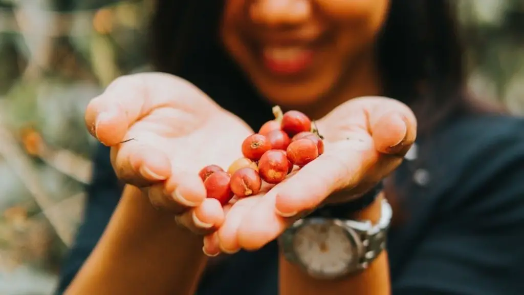 How long roast coffee beans?