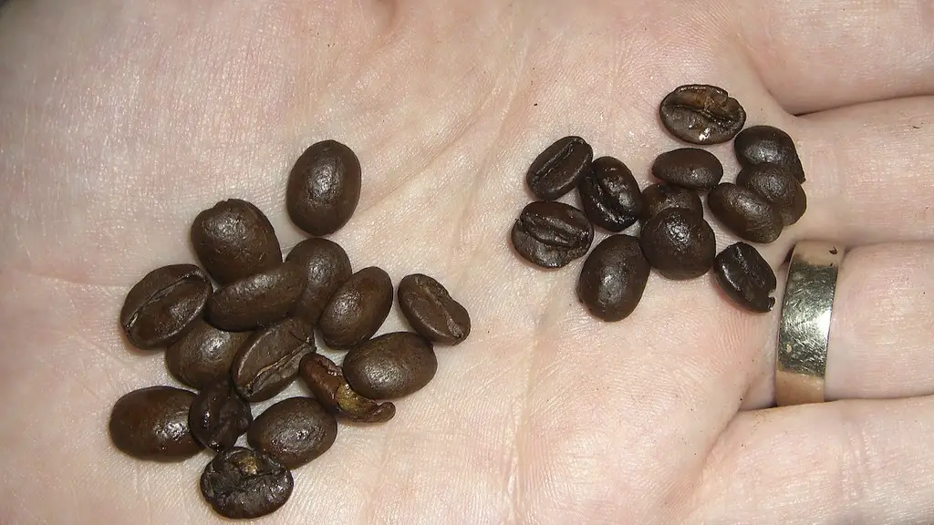 Can i take coffee beans on a plane?