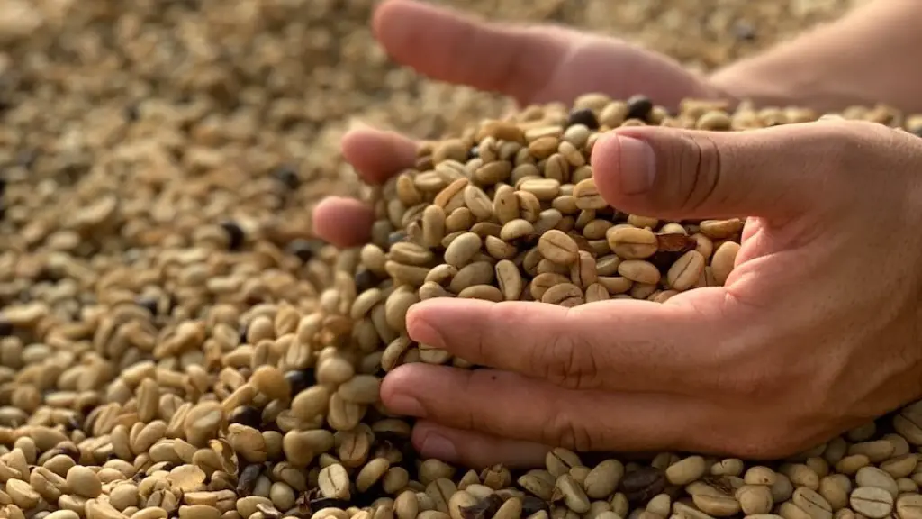 How much caffeine in a coffee bean?