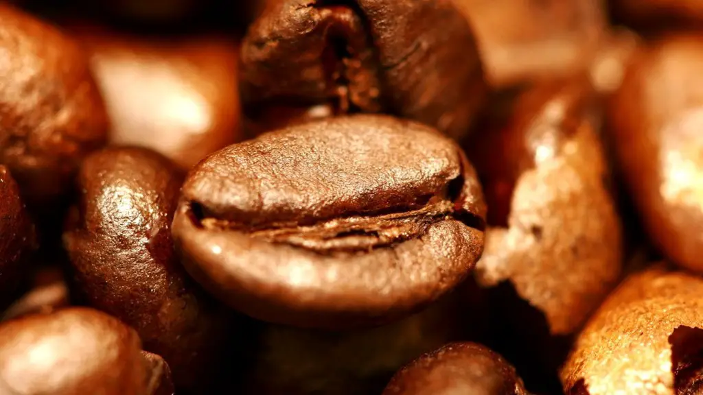 Can you grow coffee beans at home?