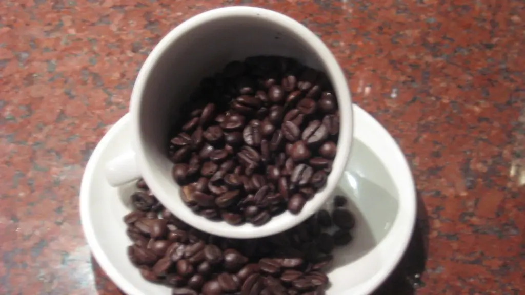 Where are coffee beans found?