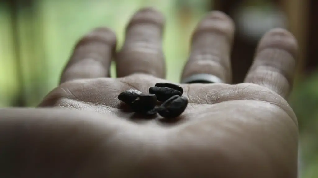 Can you store coffee beans in a glass jar?