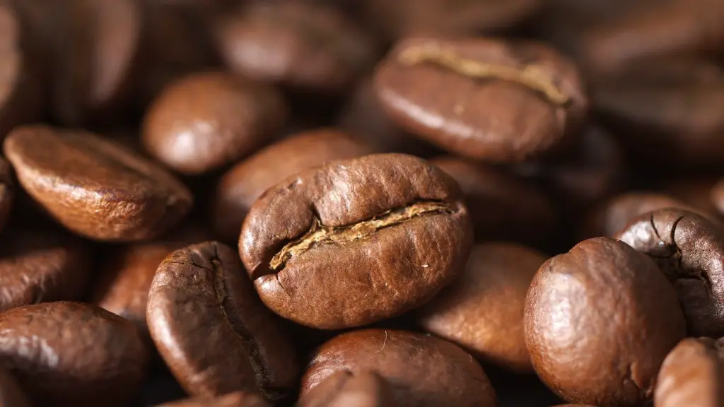 Is coffee beans good for plants?