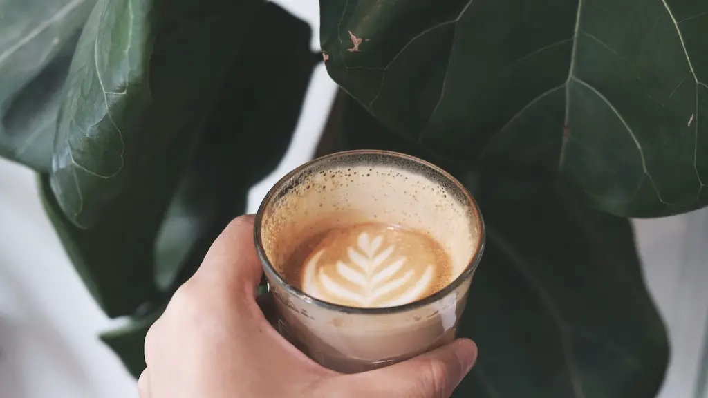 How to make starbucks vanilla iced coffee?