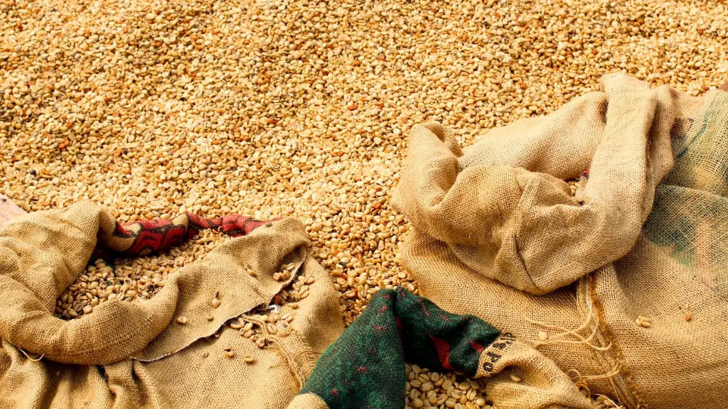 Can you grind coffee beans in food processor?