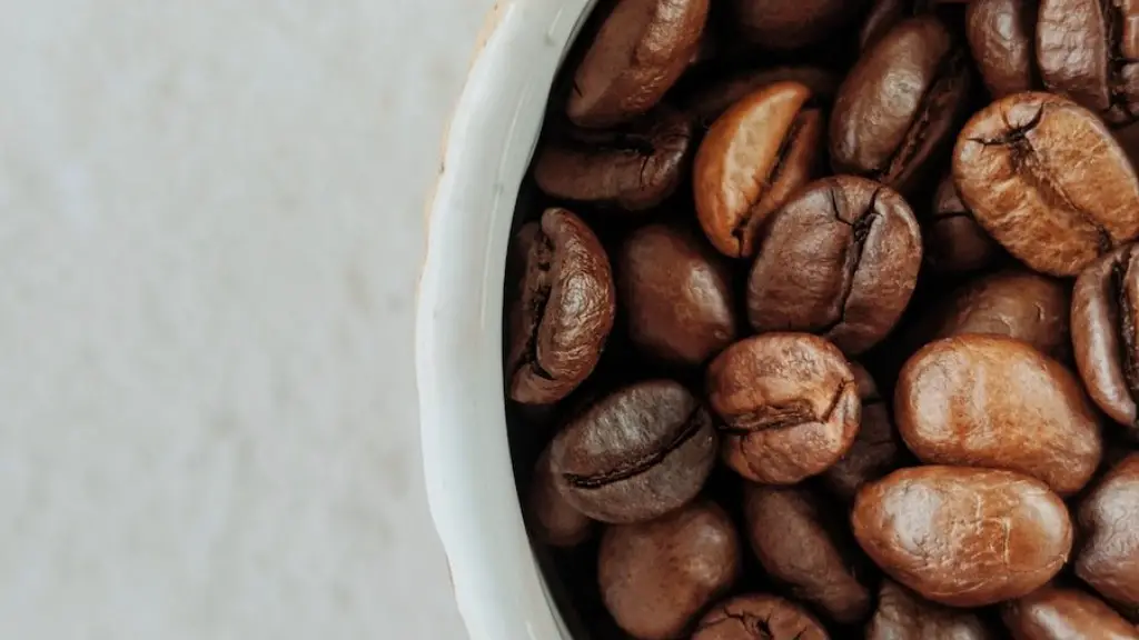 How to grow coffee from beans?