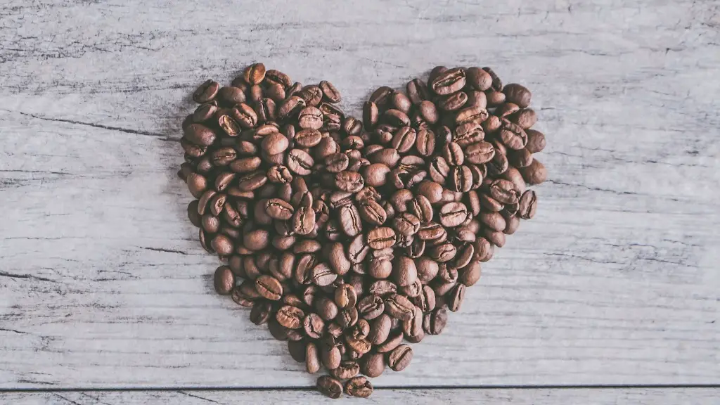 Are chocolate and coffee made from the same bean?