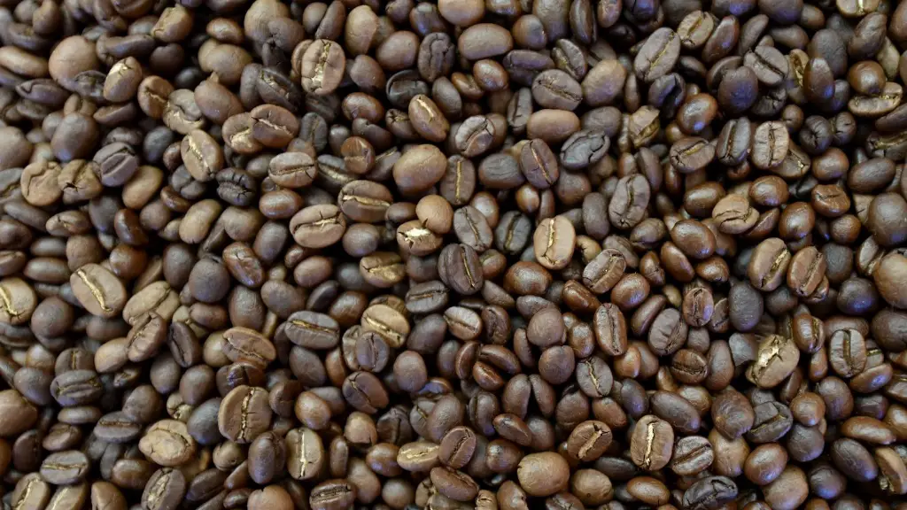 What is the most common type of coffee bean?