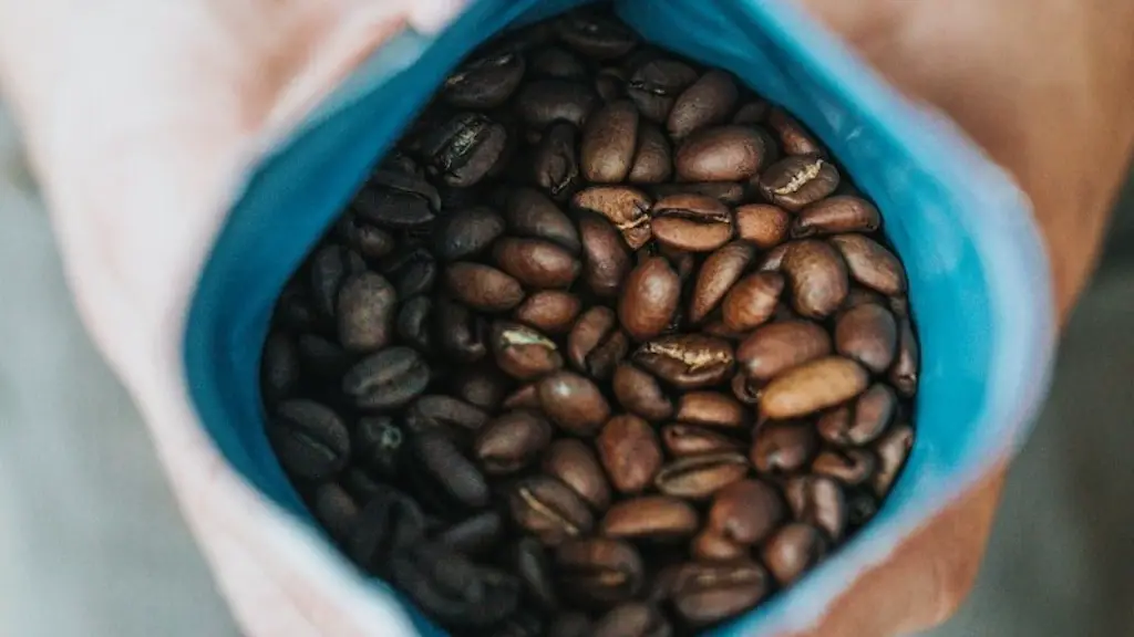 Are coffee beans seeds?