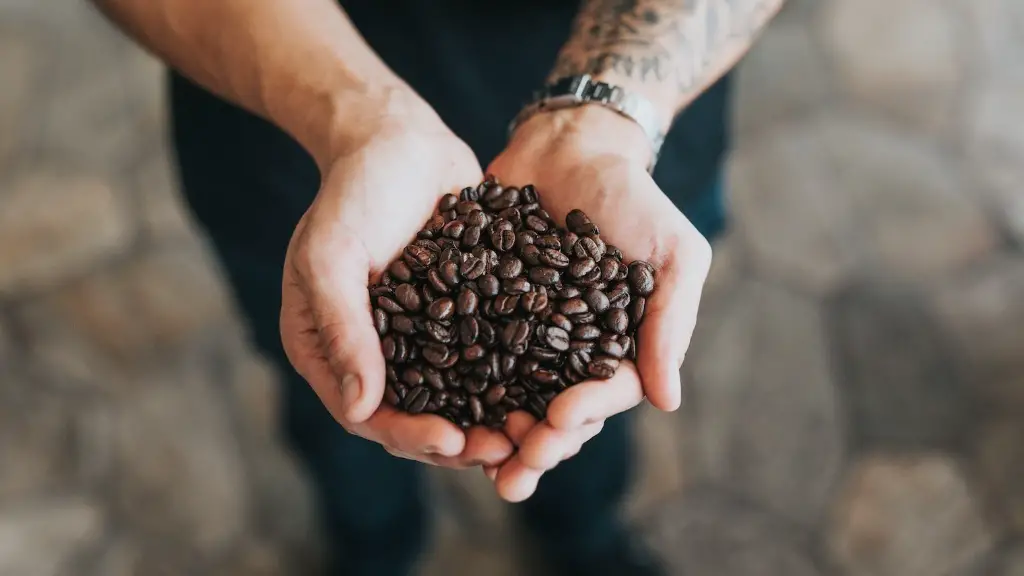 Where to get the best coffee beans?