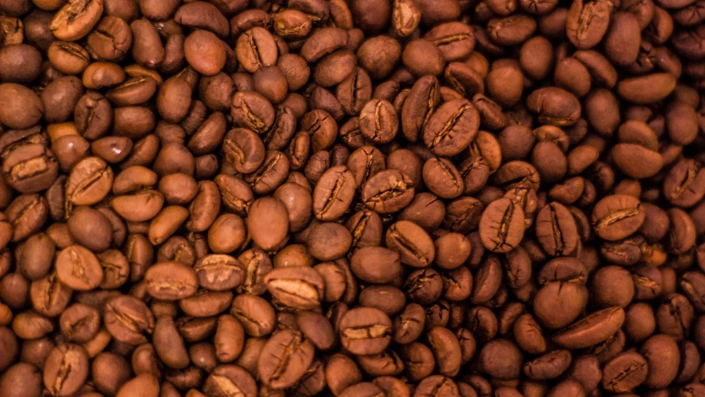Where to buy unroasted coffee beans?