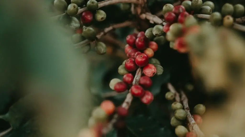 How many coffee beans can fit in a jar?