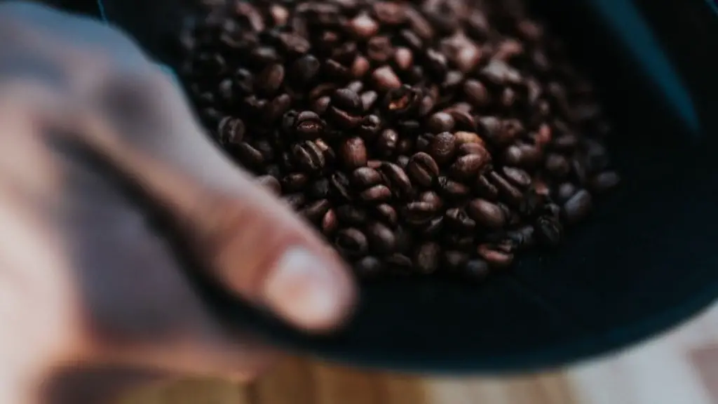 How long are roasted coffee beans good for?