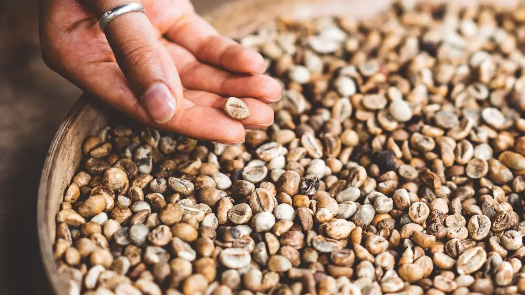 How many coffee beans in the cold brew pitcher?